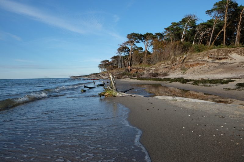 Ostsee-Weststrand bei Born auf dem Darß