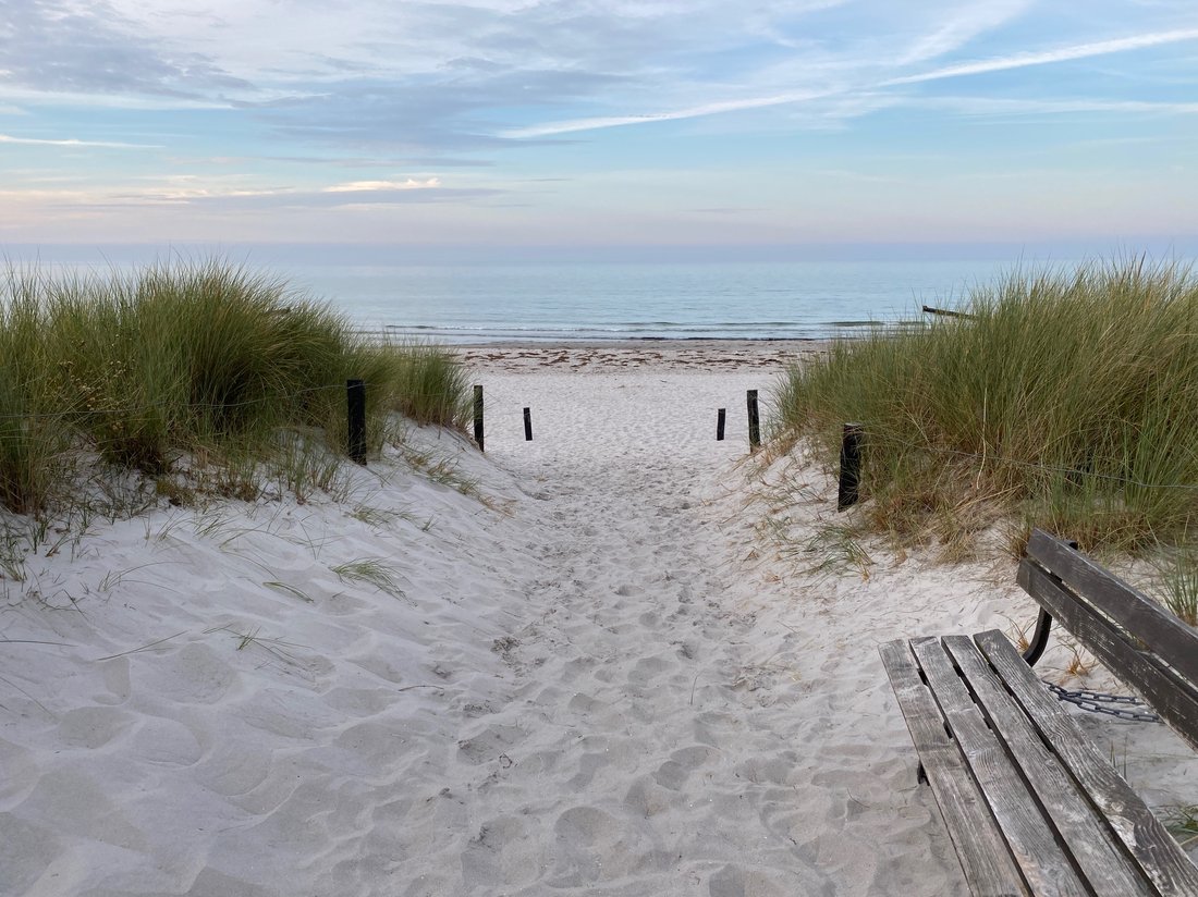 Dünenweg mit Bank zum Ostsee-Weststrand