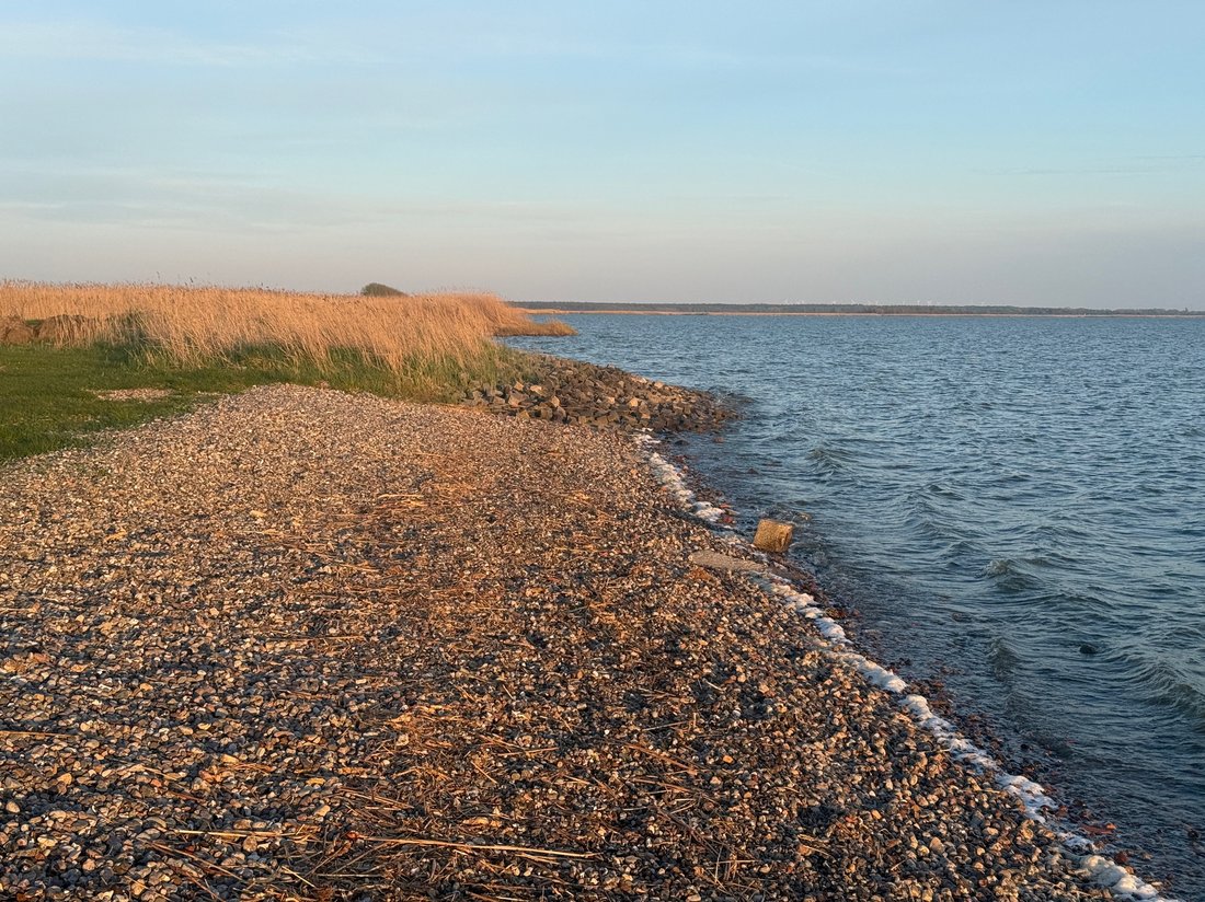 Kiesstrand an der Küste bei Born